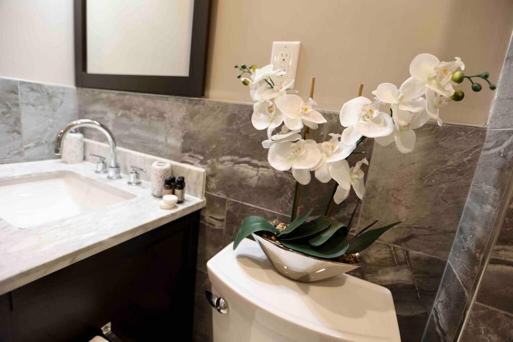 504 Luxe 1Bdr Apt In Center City Philadelphia Kültér fotó